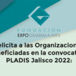 Organizaciones seleccionadas en la convocatoria PLADIS Jalisco 2022