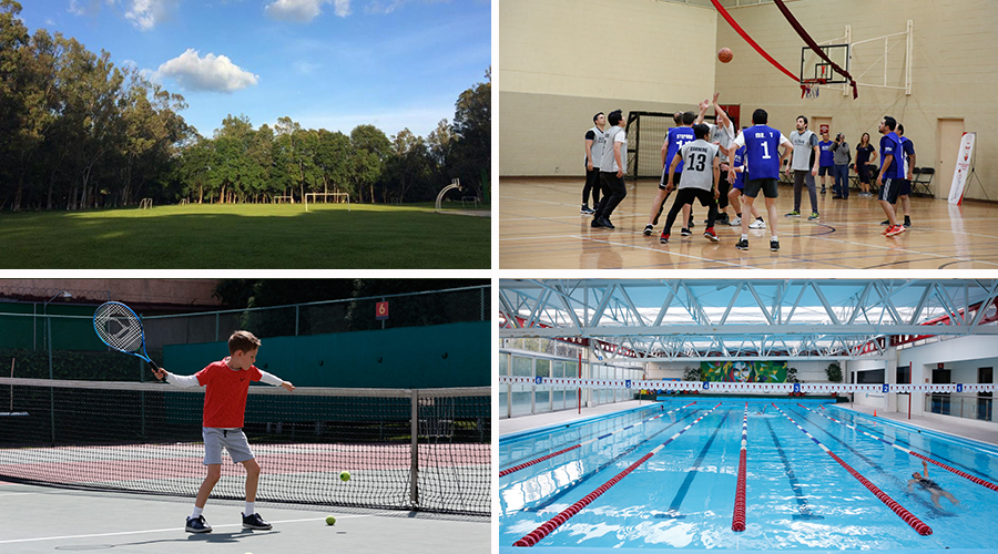 Imágenes ilustrativas de instalaciones de la YMCA, canchas de futbol, basquetbol, tenis y alberca techada. 