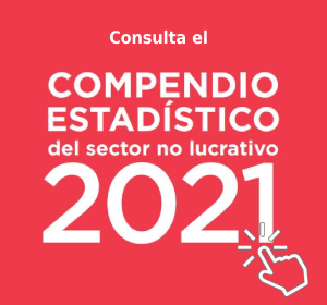 Consulta el compendio estadístico del sector no lucrativo 2021 en este enlace