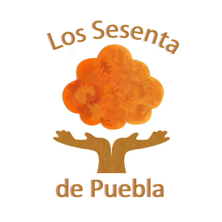 Fundación de Beneficencia Privada Los Sesenta de Puebla, Ancianos que Producen, I.B.P