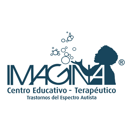 Imagina en Movimiento, Asociación Civil, Institución de Asistencia Social Privada