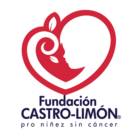 Fundación Castro Limón, A.C. logo