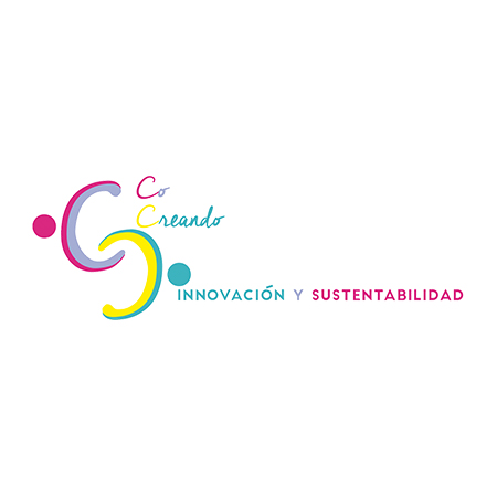 Co Creando la Innovación y Sustentabilidad Social, A.C.