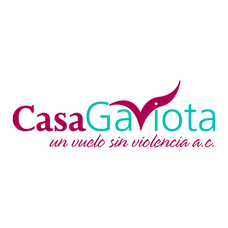 Casa-Gaviota-un-Vuelo-sin-Violencia