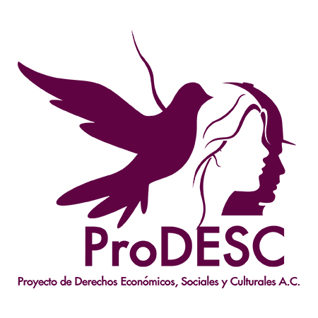 Proyecto de derechos Económicos Sociales y Culturales, A.C.