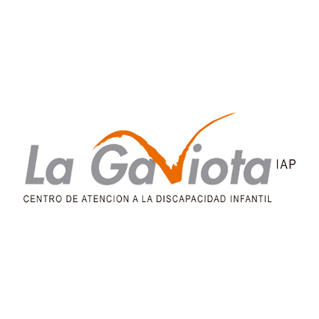 La Gaviota Centro de Atención a la Discapacidad Infantil, I.A.P