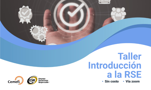 Curso de Introducción a la Responsabilidad Social Empresarial (RSE)