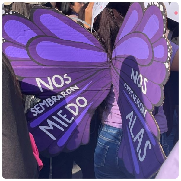Imagen de la marcha 8m, un cartel que dice: nos sembraron miedo nos creciero alas.
