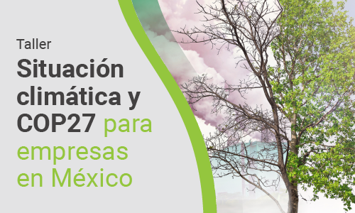 Taller Situación climática y COP27 para empresas en México