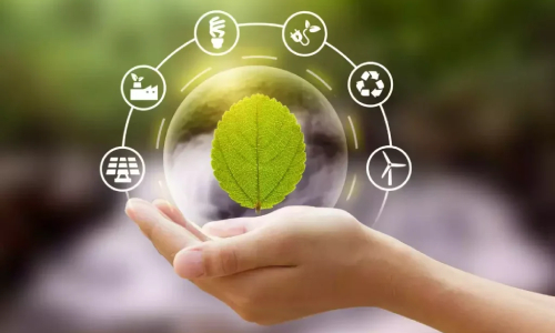 economia-circular-taller-manos-sosteniendo-una-hoja