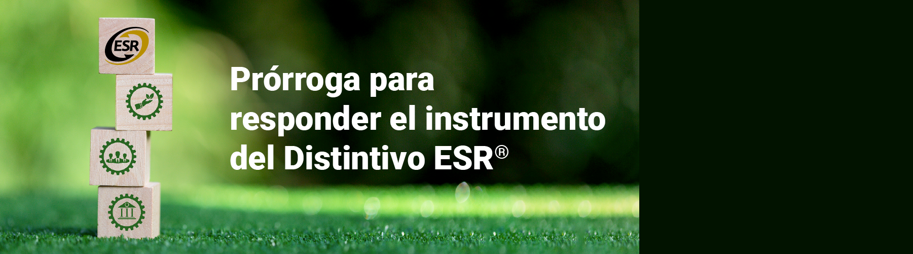 Prórroga para responder el instrumento del Distintivo ESR®