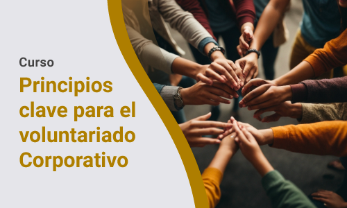 Curso virtual: Principios clave para el Voluntariado Corporativo. 26 de septiembre a las 10 horas