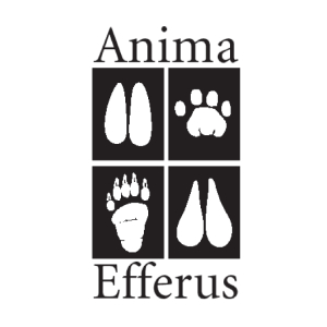 Grupo Anima Efferus, A.C.