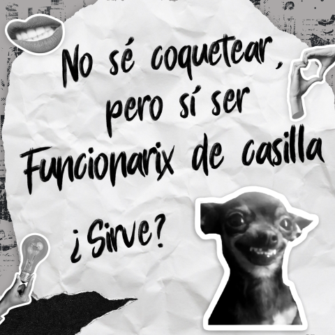 Meme: con el texto "No sé coquetear pero si ser funcionario de casilla" ¡sirve?" y la cara de un perrito sonriendo.