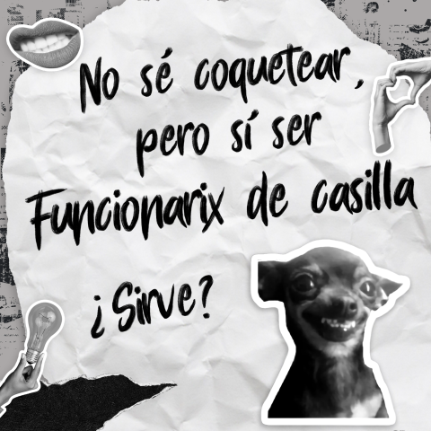 Meme: con el texto "No sé coquetear pero si ser funcionario de casilla" ¡sirve?" y la cara de un perrito sonriendo. 