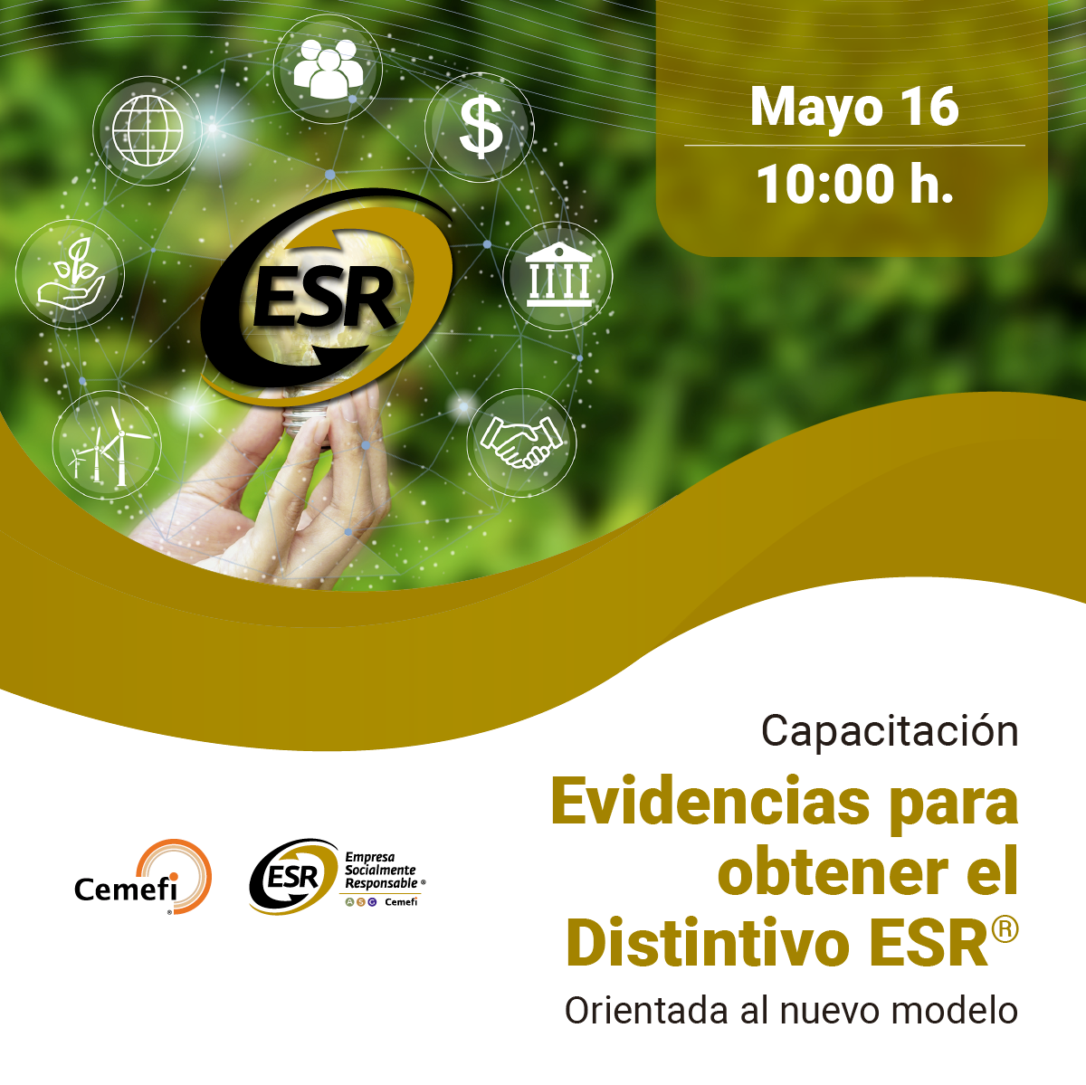 Imagen ilustrativa del Sesión virtual sobre las evidencias para obtener el Distintivo ESR®. 16 de mayo 2024
