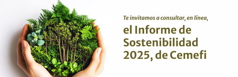 🌳 Consulta nuestro Informe de Sostenibilidad 2025, un reflejo del compromiso de Cemefi con la responsabilidad social, la transparencia y el desarrollo sostenible. 🙌