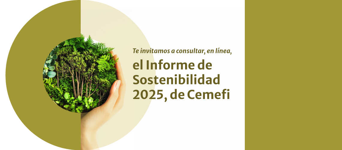 🌳 Consulta nuestro Informe de Sostenibilidad 2025, un reflejo del compromiso de Cemefi con la responsabilidad social, la transparencia y el desarrollo sostenible. 🙌