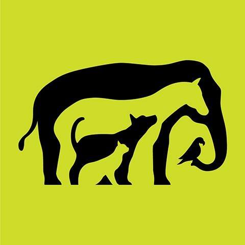 Subvenciones para investigadores o estudiantes de veterinaria