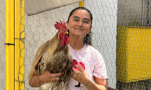 Súmate al cambio social y ambiental con Casa Gallina
