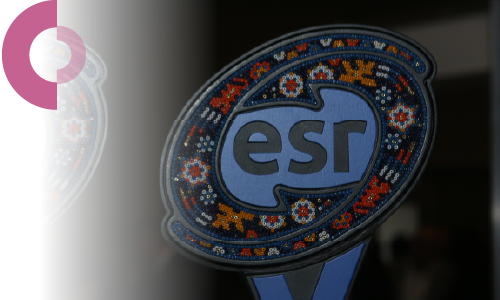 Sesión informativa: Postulación de MiPyMEs al Distintivo ESR®