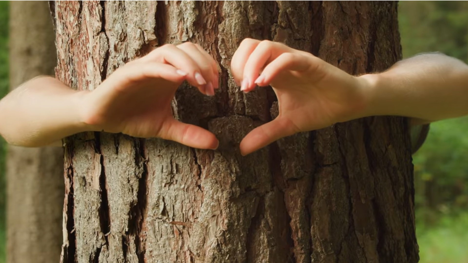 Por su labor, Alberto Charles Saldívar fue reconocido en los Premios Compartir