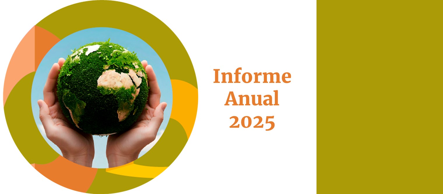 En Cemefi sabemos seguimos trabajando por un país más justo, solidario y sostenible. Te invitamos a conocer nuestro Informe Anual 2025.