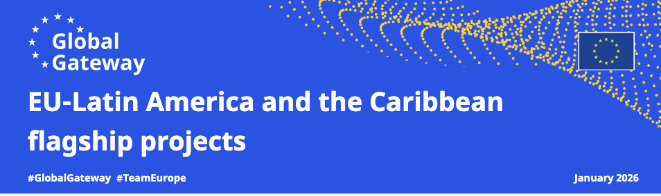 Invitación a fundaciones para coinvertir y colaborar con la UE junto a WINGS y Latimpacto