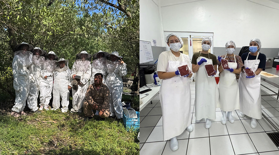 En imagen personas mostrando Asimismo, se compartieron experiencias y aprendizajes sobre diversificación de procesos productivos, modelos de ecoturismo comunitario, ecotecnias, monitoreo de especies, certificaciones, gobernanza, fortalecimiento organizativo y estrategias para fortalecer proyectos sustentables.
