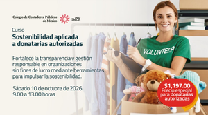 Cartel promocional sobre fondo amarillo y blanco del curso online "Sostenibilidad aplicada a donatarias autorizadas", con logotipos institucionales, la fecha 20 de octubre de 2026 y una fotografía de personas colaborando en una mesa de trabajo