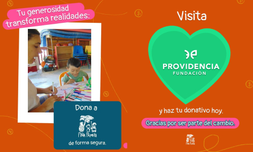 Súmate a Piña Palmera y apoya a las personas con discapacidad