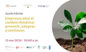 Cartel informativo de Cemefi sobre la sesión híbrida titulada “Empresas ante el cambio climático: prevenir, adaptar y continuar”. El material plantea la pregunta “¿Tu empresa podría seguir operando en una sequía extrema?” y señala que casi un tercio de México ya vivió esta situación. Invita a conocer los riesgos climáticos que amenazan las operaciones empresariales y cómo prepararse para enfrentarlos y fortalecer la continuidad del negocio. La sesión se realizará el 13 de noviembre de 2026, a las 10:00 a. m. Para solicitar informes, se proporciona el correo campusesr@cemefi.org. En la parte superior aparecen los logotipos de Cemefi, UPS Foundation y ARISE México. A la derecha se muestra una planta verde que crece en tierra seca, como símbolo de resiliencia y adaptación al cambio climático. En la parte inferior se incluyen los logotipos de las instituciones colaboradoras: el Ministerio Federal de Medio Ambiente de Alemania, GIZ, la Iniciativa Climática Internacional (IKI), CONANP, Unidos por Ellos y el Programa de las Naciones Unidas para el Desarrollo (PNUD).